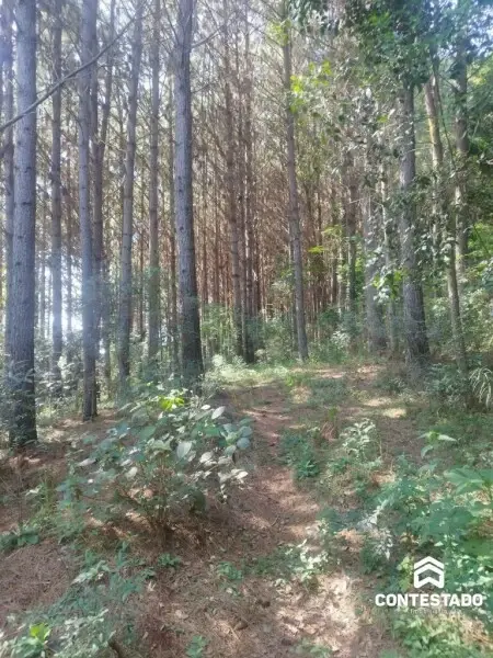 Imagem do anúnio: Vendo terreno / lote / condomínio em Rio Das Antas , Santa Catarina no bairro Interior