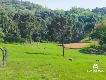 Imagem do anúnio: Vendo terreno / lote / condomínio em Rio Das Antas , Santa Catarina no bairro Interior