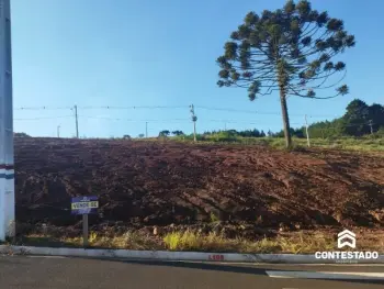 Imagem do anúnio: Vendo terreno / lote / condomínio em Caçador , Santa Catarina no bairro Loteamento Vale Dos Vinhedos