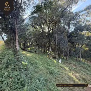 Imagem do anúncio: Vendo casa em Videira , Santa Catarina no bairro Anta Gorda