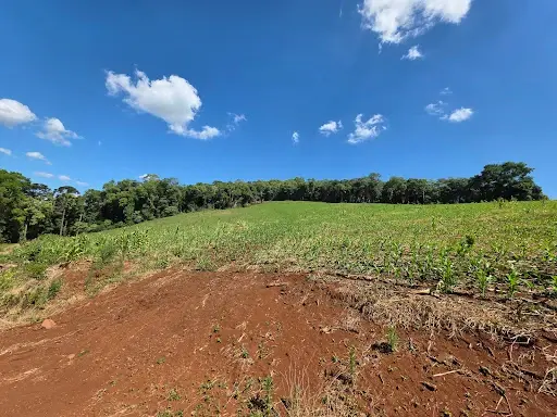 Imagem do anúncio: Vendo fazenda / sítio / chácara em Iomerê , Santa Catarina no bairro Interior