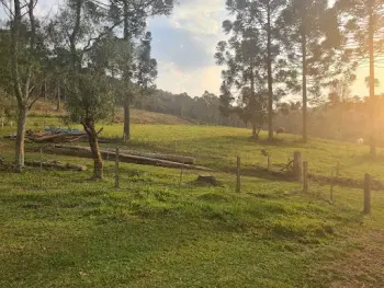 Imagem do anúnio: Vendo fazenda / sítio / chácara em Rio Das Antas , Santa Catarina no bairro Interior