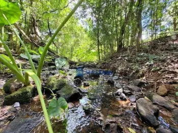 Imagem do anúnio: Vendo fazenda / sítio / chácara em Videira , Santa Catarina no bairro Interior