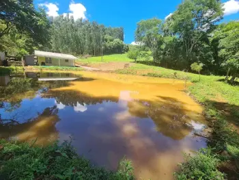 Imagem do anúnio: Vendo fazenda / sítio / chácara em Videira , Santa Catarina no bairro Linha Aparecida