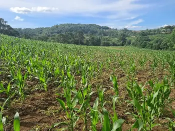 Imagem do anúnio: Vendo fazenda / sítio / chácara em Rio Das Antas , Santa Catarina no bairro Interior