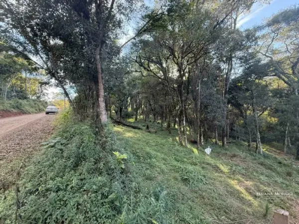 Imagem do anúnio: Vendo terreno / lote / condomínio em Anta Gorda , Santa Catarina no bairro INTERIOR 