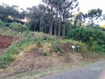 Imagem do anúnio: Vendo terreno / lote / condomínio em Videira , Santa Catarina no bairro Farroupilha