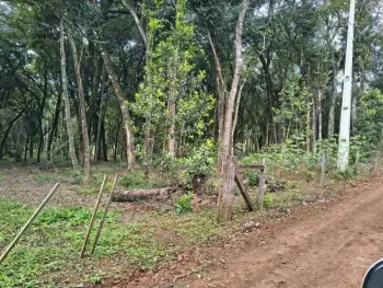 Imagem do anúnio: Vendo fazenda / sítio / chácara em Catanduvas , Santa Catarina no bairro Linha Vera Cruz