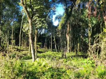 Imagem do anúnio: Vendo fazenda / sítio / chácara em Catanduvas , Santa Catarina no bairro Sc 355
