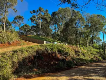 Imagem do anúnio: Vendo fazenda / sítio / chácara em Catanduvas , Santa Catarina no bairro Linha Banhado Grande