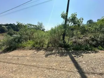 Imagem do anúnio: Vendo fazenda / sítio / chácara em Catanduvas , Santa Catarina no bairro Linha Banhado Grande