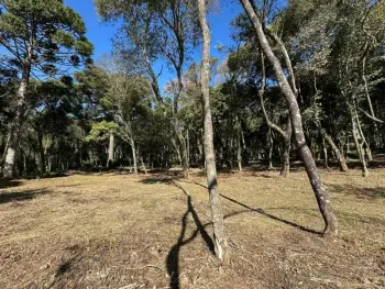 Imagem do anúnio: Vendo fazenda / sítio / chácara em Catanduvas , Santa Catarina no bairro Linha Tunal
