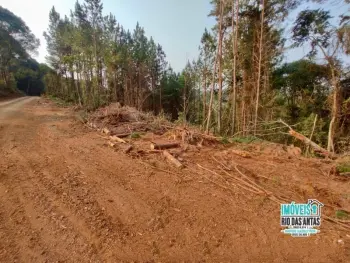 Imagem do anúnio: Vendo fazenda / sítio / chácara em Rio Das Antas , Santa Catarina no bairro Linha Rio Bonito 