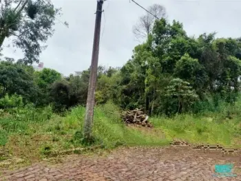 Imagem do anúnio: Vendo terreno / lote / condomínio em Videira , Santa Catarina no bairro São Francisco