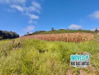 Imagem do anúnio: Vendo fazenda / sítio / chácara em Rio Das Antas , Santa Catarina no bairro Linha Gramados