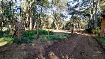 Imagem do anúnio: Vendo fazenda / sítio / chácara em Caçador , Santa Catarina no bairro Interior