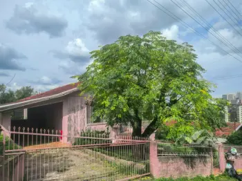 Imagem do anúncio: Vendo casa em Caçador , Santa Catarina no bairro Santa Catarina