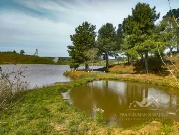 Imagem do anúncio: Vendo fazenda / sítio / chácara em Caçador , Santa Catarina no bairro Taquara Verde