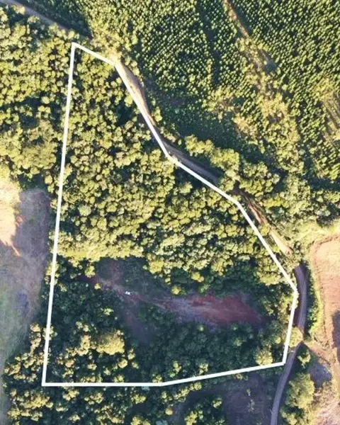 Imagem do anúnio: Vendo fazenda / sítio / chácara em Erval Velho , Santa Catarina no bairro Interior