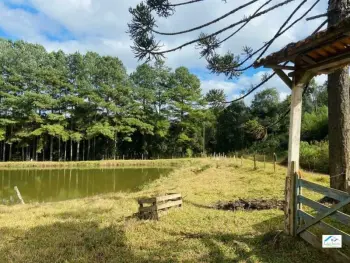 Imagem do anúnio: Vendo fazenda / sítio / chácara em Caçador , Santa Catarina no bairro Linha Faxinal São Pedro