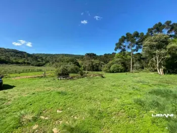 Imagem do anúnio: Vendo fazenda / sítio / chácara em Caçador , Santa Catarina no bairro Interior