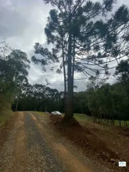 Imagem do anúnio: Vendo fazenda / sítio / chácara em Caçador , Santa Catarina no bairro Cerro Branco