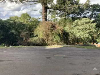 Imagem do anúnio: Vendo terreno / lote / condomínio em Videira , Santa Catarina no bairro Centro