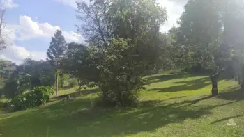 Imagem do anúnio: Vendo terreno / lote / condomínio em Videira , Santa Catarina no bairro Recanto da Natureza