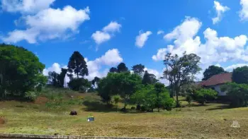 Imagem do anúnio: Vendo terreno / lote / condomínio em Videira , Santa Catarina no bairro Recanto da Natureza