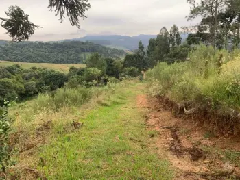 Imagem do anúnio: Vendo fazenda / sítio / chácara em Iomerê , Santa Catarina no bairro Interior