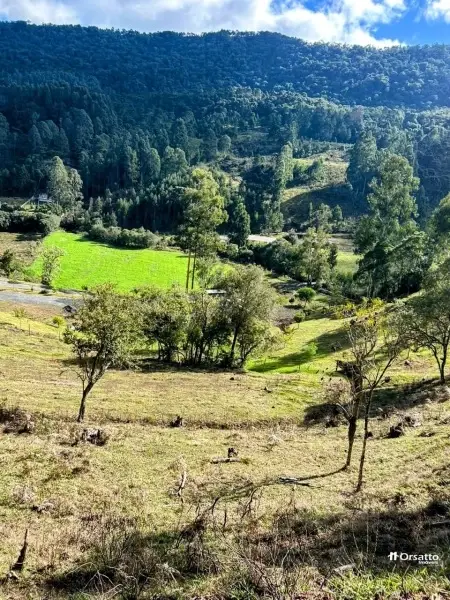Imagem do anúncio: Vendo terreno / lote / condomínio em Urubici , Santa Catarina no bairro Rio do Engano