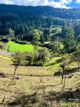 Imagem do anúncio: Vendo terreno / lote / condomínio em Urubici , Santa Catarina no bairro Rio do Engano