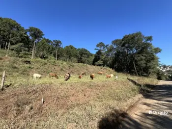 Imagem do anúnio: Vendo terreno / lote / condomínio em Videira , Santa Catarina no bairro Farroupilha