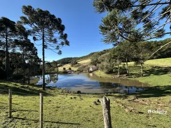Imagem do anúnio: Vendo fazenda / sítio / chácara em Tangará , Santa Catarina no bairro Linha Caravaginho