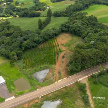 Imagem do anúnio: Vendo fazenda / sítio / chácara em Videira , Santa Catarina no bairro Linha São Roque