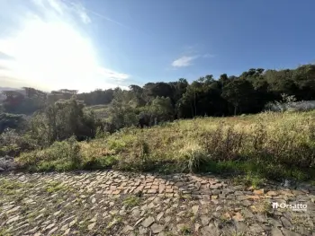 Imagem do anúnio: Vendo terreno / lote / condomínio em Videira , Santa Catarina no bairro Santa Lúcia