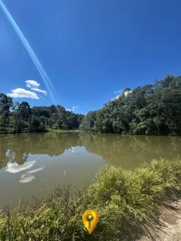 Imagem do anúnio: Vendo fazenda / sítio / chácara em Caçador , Santa Catarina no bairro Área Rural de Caçador