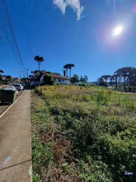 Imagem do anúncio: Vendo terreno / lote / condomínio em Treze Tílias , Santa Catarina no bairro Centro