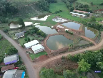 Imagem do anúnio: Vendo fazenda / sítio / chácara em Videira , Santa Catarina no bairro Linha São Pedro