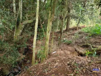 Imagem do anúncio: Vendo fazenda / sítio / chácara em Tangará , Santa Catarina no bairro Marari