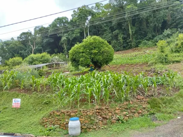 Imagem do anúnio: Vendo terreno / lote / condomínio em Lacerdopolis , Santa Catarina no bairro Centro