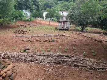 Imagem do anúnio: Vendo terreno / lote / condomínio em Herval D'Oeste , Santa Catarina no bairro São Vicente
