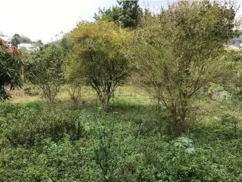 Imagem do anúnio: Vendo terreno / lote / condomínio em Joaçaba , Santa Catarina no bairro Centro