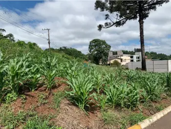 Imagem do anúnio: Vendo terreno / lote / condomínio em Joaçaba , Santa Catarina no bairro Nossa senhora de Fátima