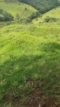 Imagem do anúnio: Vendo fazenda / sítio / chácara em Herval D'Oeste , Santa Catarina no bairro Interior