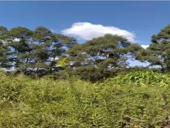 Imagem do anúnio: Vendo terreno / lote / condomínio em Joaçaba , Santa Catarina no bairro Santa Clara Baixa