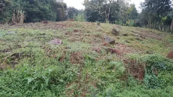 Imagem do anúnio: Vendo terreno / lote / condomínio em Joaçaba , Santa Catarina no bairro Frei Bruno