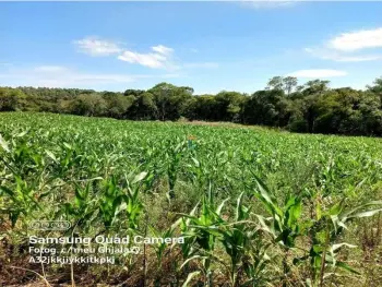 Imagem do anúnio: Vendo terreno / lote / condomínio em Catanduvas , Santa Catarina no bairro Interior