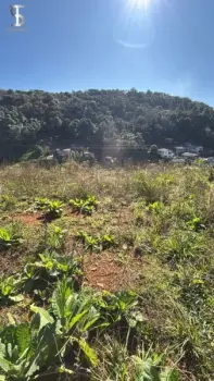 Imagem do anúnio: Vendo terreno / lote / condomínio em Videira , Santa Catarina no bairro Campo Experimental