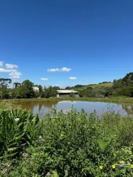 Imagem do anúnio: Vendo fazenda / sítio / chácara em Videira , Santa Catarina no bairro Vista Alegre